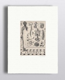 Solomon paper