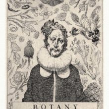 les_curieux_solomon_wyart_detail_10