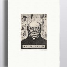 les_curieux_solomon_wyart_paper_03