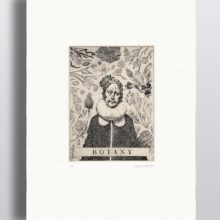 les_curieux_solomon_wyart_paper_06