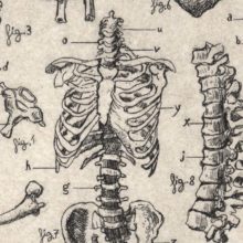 les_curieux_solomon_wyart_zoom_14
