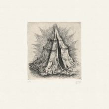 solomon_jeremie_curiosites_textiles_L04