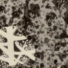 marine_lefebvre_aquatinte_detail(4)