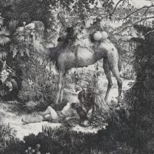 bresdin_bon_samaritain_detail_galerie_jahidi